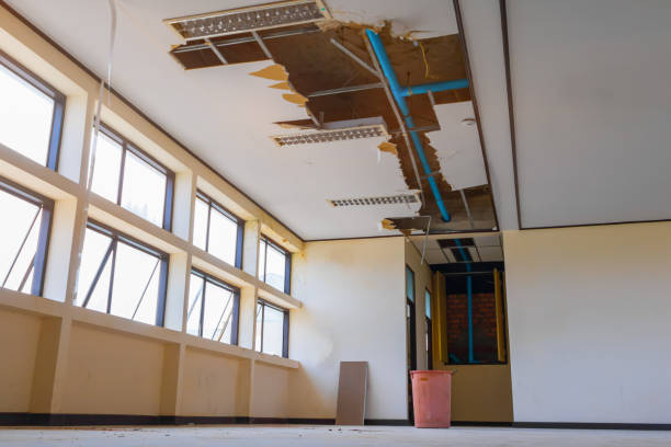 Best 24-hour water damage restoration  in Wapello, IA