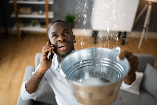 Best Residential water damage restoration  in Wapello, IA