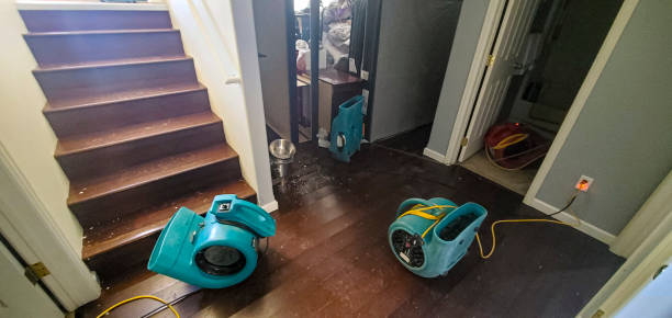Best Water damage cleanup near me  in Wapello, IA