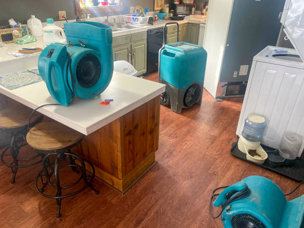 Best 24/7 water damage repair  in Wapello, IA