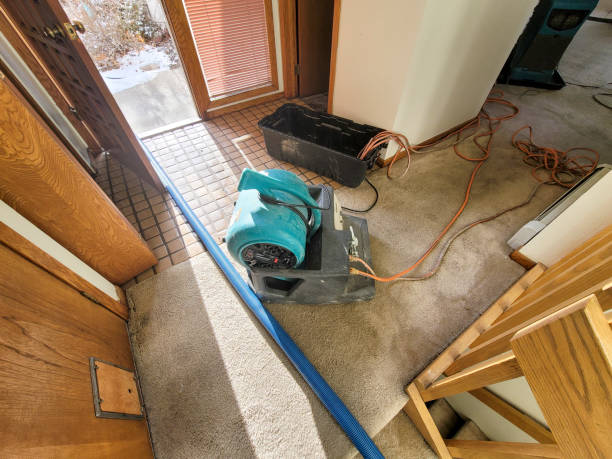 Best Commercial water damage restoration  in Wapello, IA