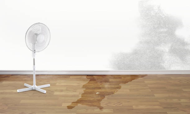 Best Flood damage cleanup  in Wapello, IA