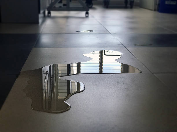 Best Professional water damage repair  in Wapello, IA