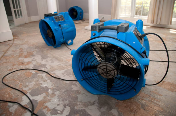 Best Sewage cleanup and water damage restoration  in Wapello, IA