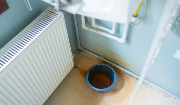 Best Professional water damage repair  in Wapello, IA