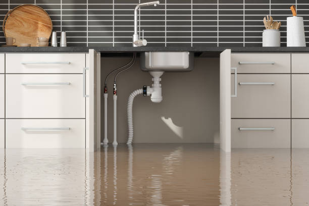Best Carpet water damage restoration  in Wapello, IA