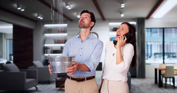 Best Water damage restoration near me  in Wapello, IA
